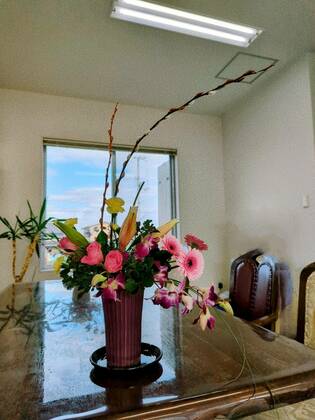 🌺今週のお花　テーマは「伸びやか」