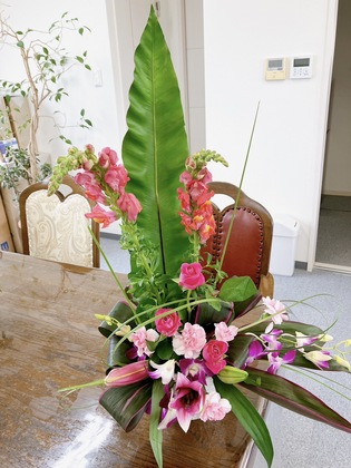 今週のお花