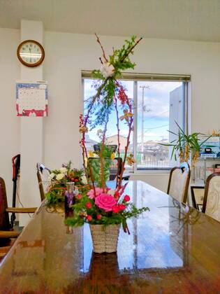 🌸今週のお花「クリスマスツリーのアレンジ」